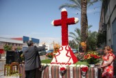 PASION ILICITANA - CRUCES DE MAYO (37) COPIA.jpg