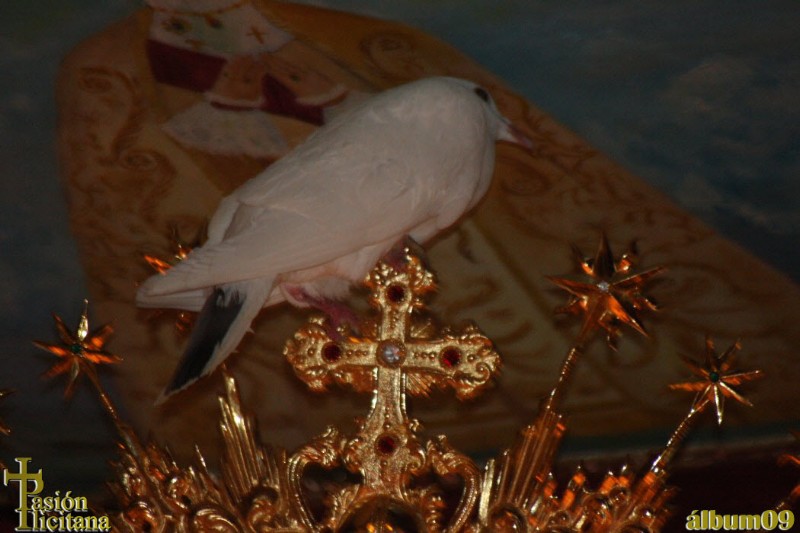 PASIÓN ILICITANA - ALBUM09 - LA CARIDAD - GALERÍA 2 (108) COPIA.jpg