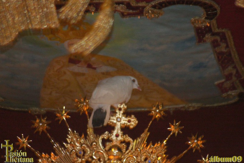 PASIÓN ILICITANA - ALBUM09 - LA CARIDAD - GALERÍA 2 (84) COPIA.jpg