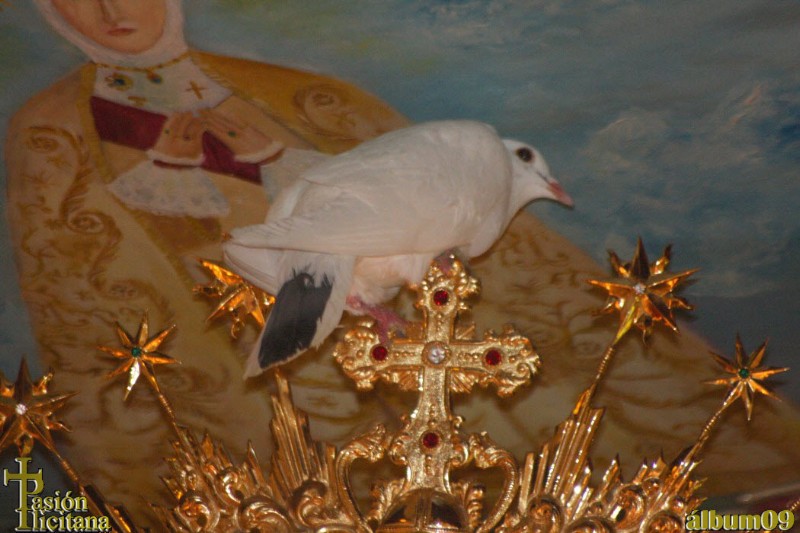 PASIÓN ILICITANA - ALBUM09 - LA CARIDAD - GALERÍA 2 (90) COPIA.jpg